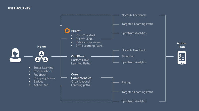 Employee journey map across the first year